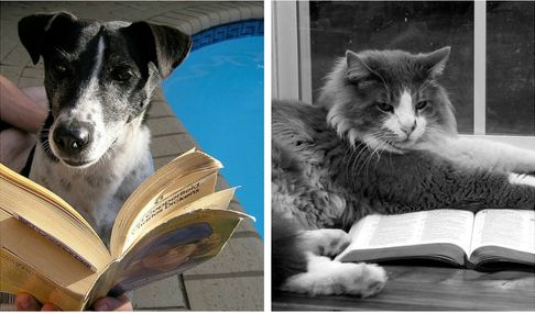 literary-dogs