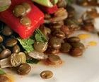 mid-east_lentil salad